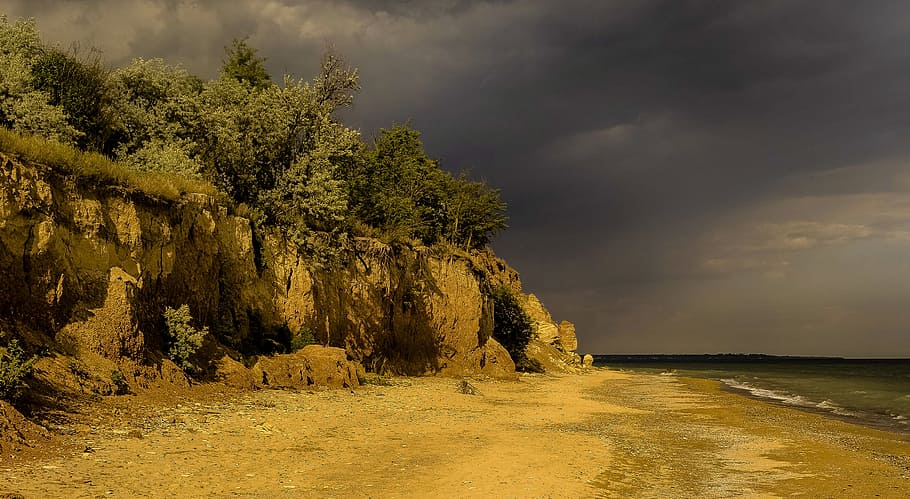 Sea, Beach, Trees, Sand, Foam, Wave, nature, scenics, no people HD wallpaper