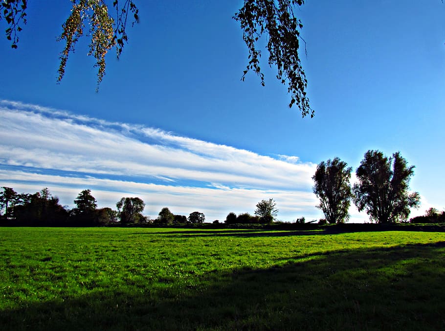 spring, meadow, green, grass, clouds, the sun, nature, landscape HD wallpaper