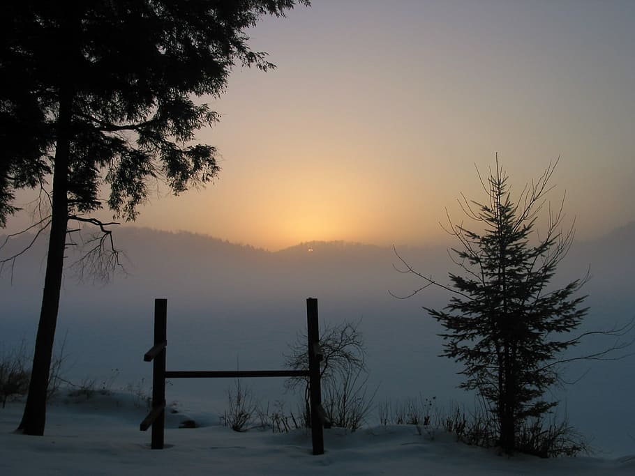 Sunrise, Snow, Cold, Isolated, Winter, nature, landscape, morning HD wallpaper