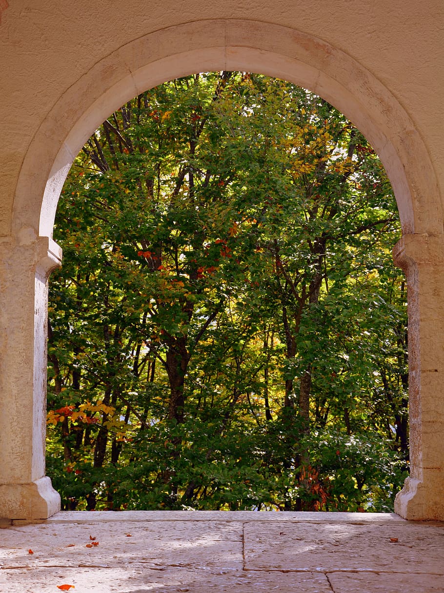 window, trees, arc, forest, stone, floor, the european path, HD wallpaper