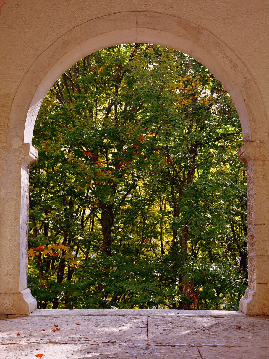window, trees, arc, forest, stone, floor, the european path HD wallpaper