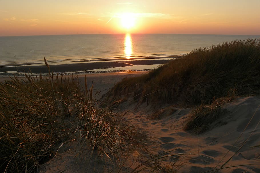 sunset, sea, view, beach, holiday, water, horizon, peaceful HD wallpaper