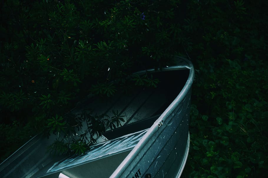 plants, trees, green, dark, steel, dirty, transportation, no people HD wallpaper