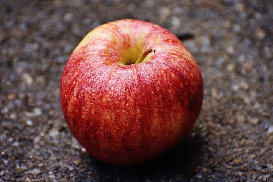 apple, red, delicious, fruit, ripe, red apple, frisch, vitamins HD wallpaper