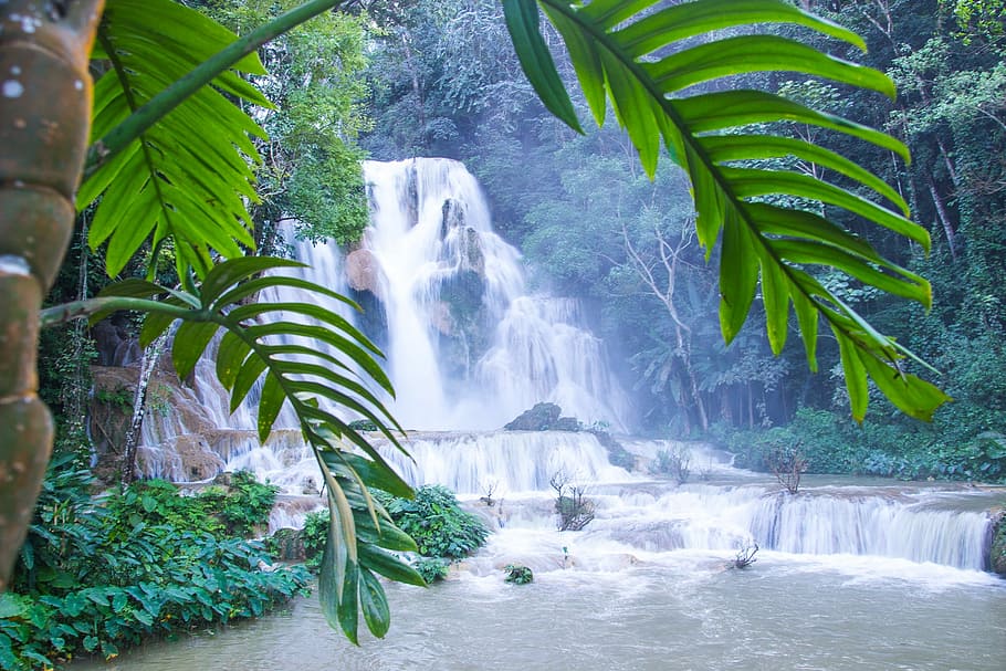 Kuang Si Falls, Waterfall, Play, water play, leaf, tree, palm tree, HD wallpaper