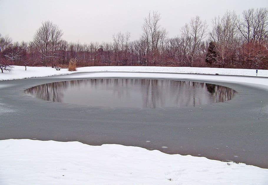 frozen, pond, winter, ice, snow, trees, cold temperature, water HD wallpaper