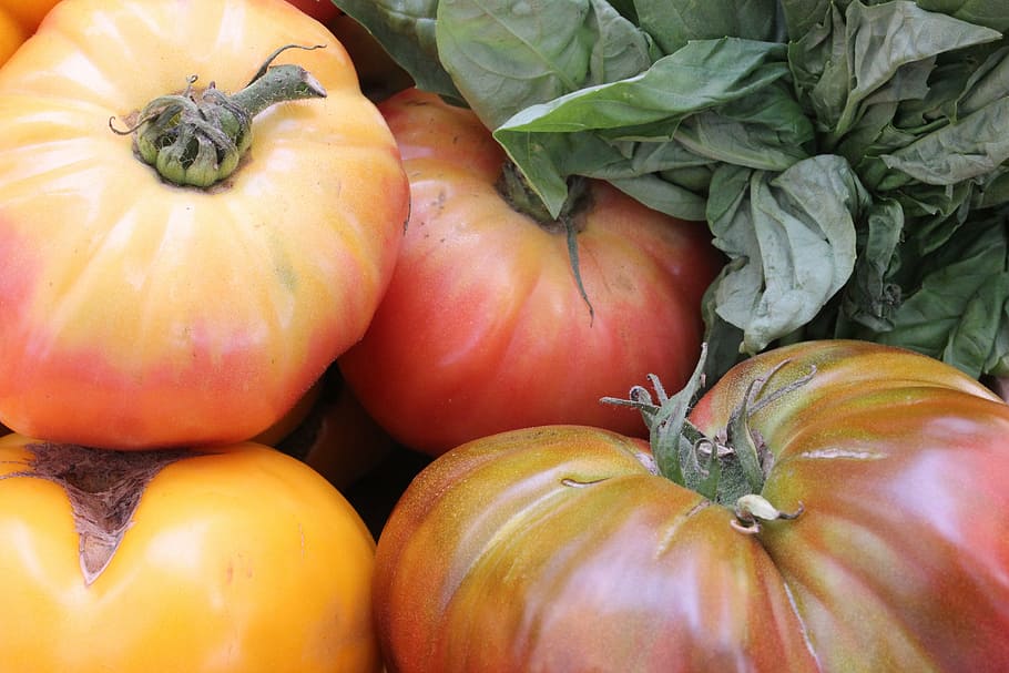 heirloom, tomatoes, vegetable, red, healthy, organic, health food HD wallpaper