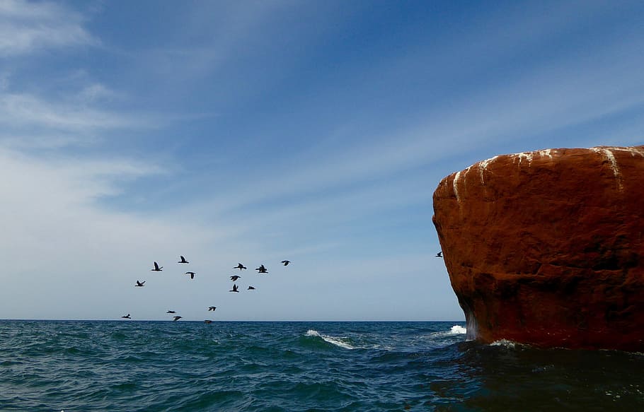 Water, Rock, Birds, Sky, Stone, Nature, zen, scenery, sea, blue HD wallpaper