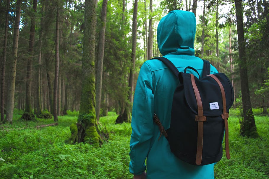 Hooded hiker in the woods, person standing in front of trees HD wallpaper