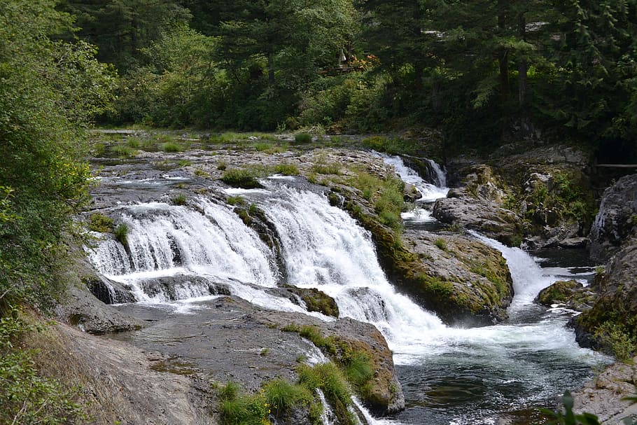 waterfalls, rocks, trees, bushes, outside, plant, beauty in nature HD wallpaper