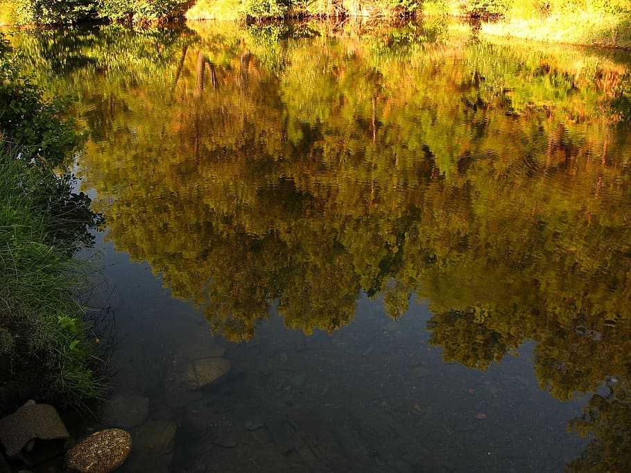 river, highlights, water, trees, reflection, lake, plant, tranquility HD wallpaper