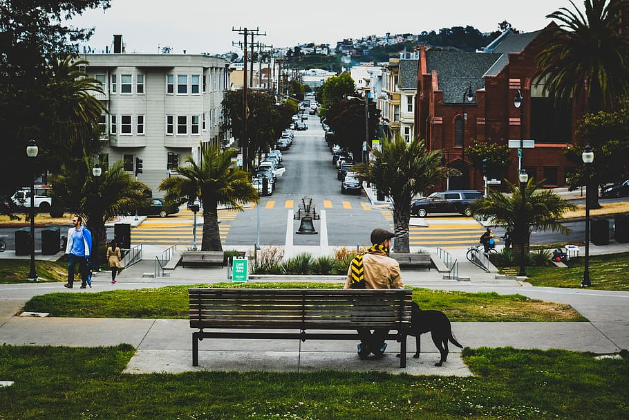 man sitting on bench beside door in park at daytime, person sitting on bench beside dog on park during day HD wallpaper