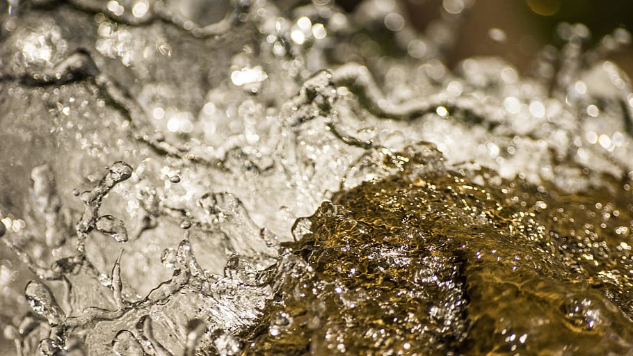 Water, Life, Flow, Fry, no people, close-up, nature, backgrounds HD wallpaper
