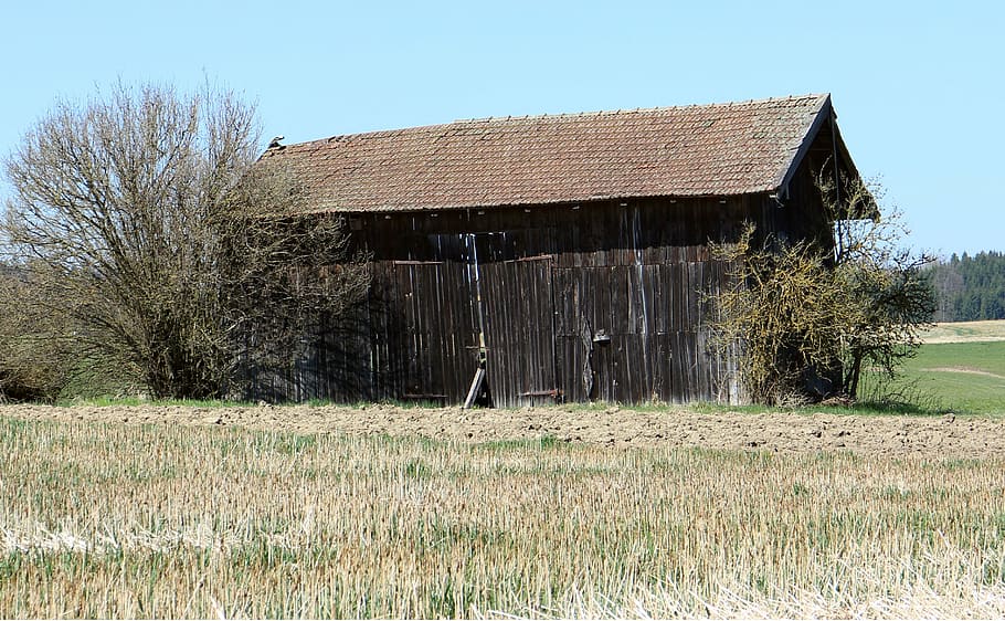 field, field barn, hut, old, decay, break up, rural Scene, farm HD wallpaper