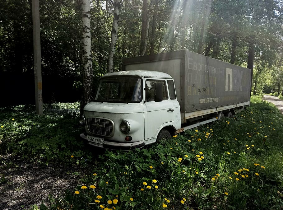 retro, auto, car, plant, mode of transportation, land, tree HD wallpaper