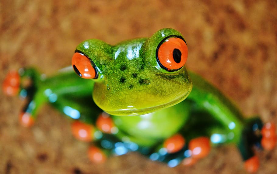 frog, funny, figure, cute, ceramic, frogs, sweet, animal, green HD wallpaper