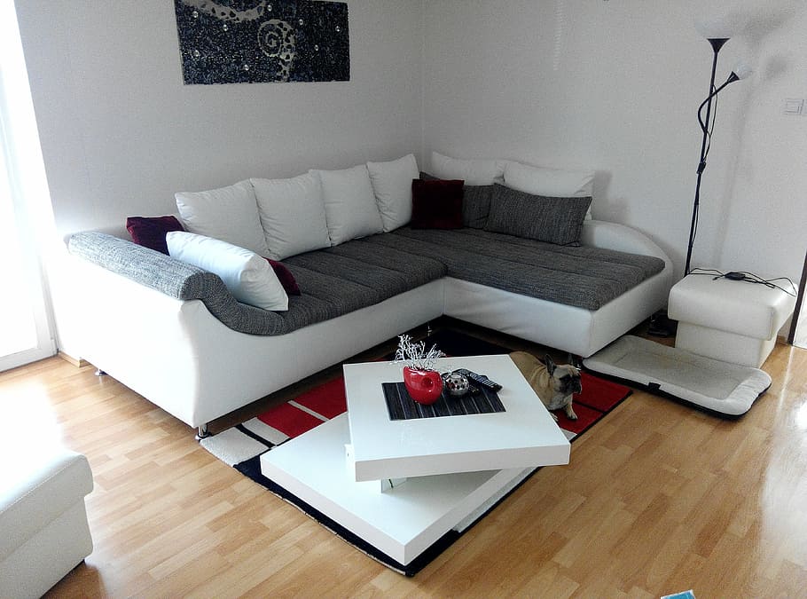 vacant white and brown sectional sofa in the room, living-room, HD wallpaper