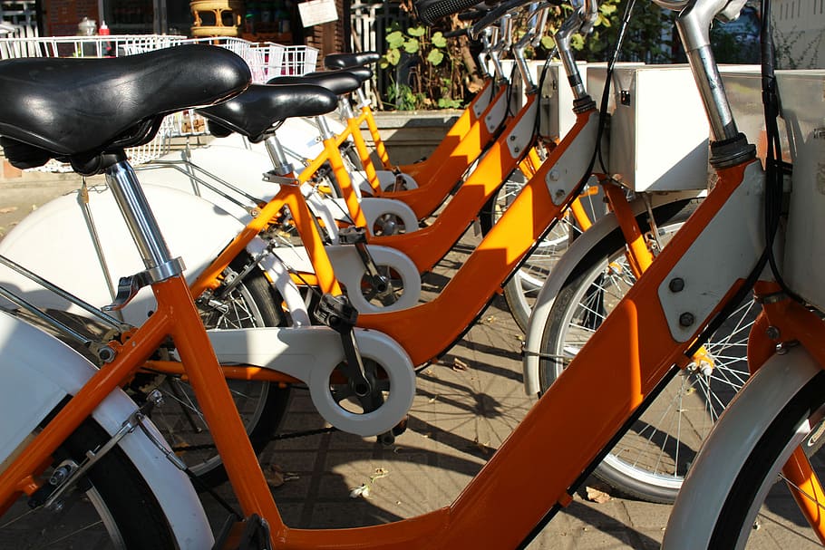 Bikes, Cycles, Bicycle, Biking, cycling, ride, healthy, lifestyle HD wallpaper