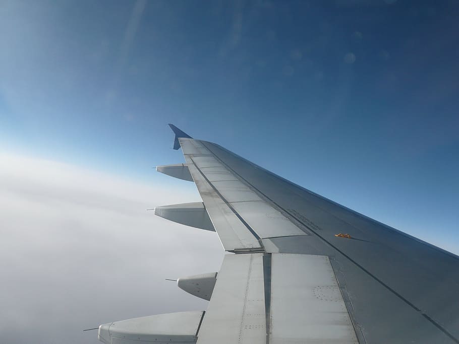 flight, sky, wing, airplane, air vehicle, mode of transportation HD wallpaper