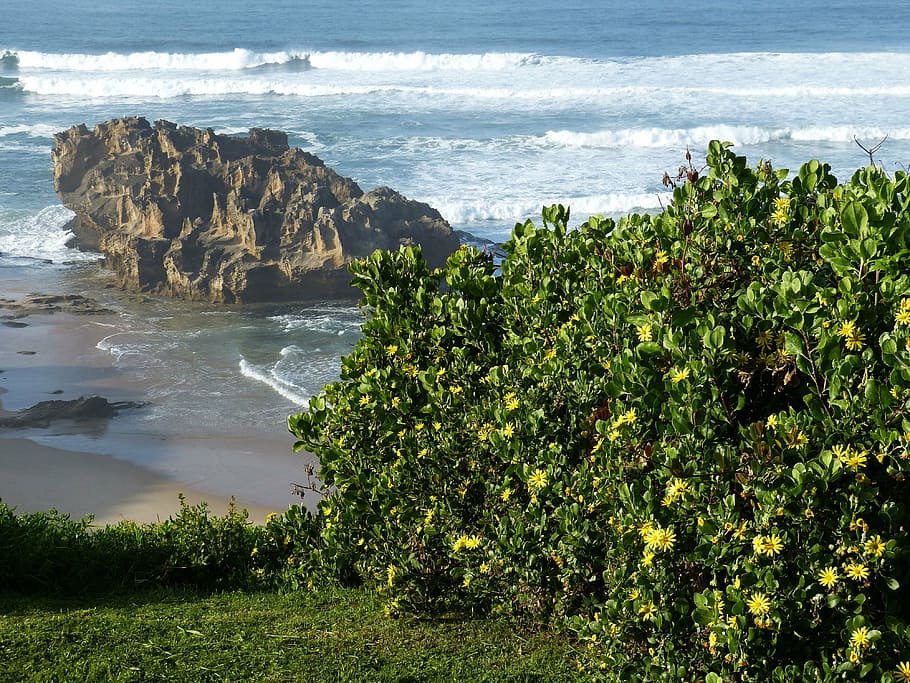 south africa, garden route, nature reserve, ocean, wave, spray, HD wallpaper