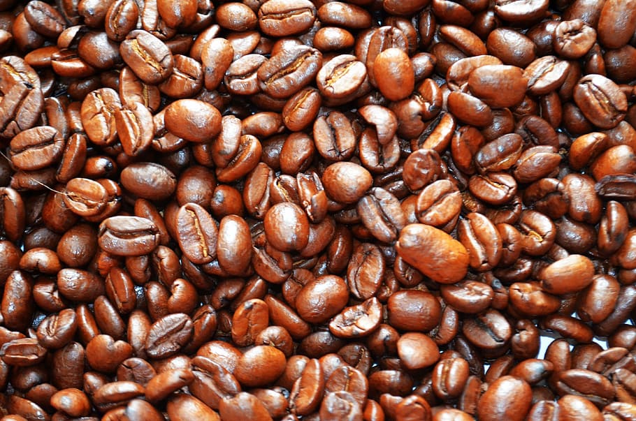 coffee beans, benefit from, aroma, brown, backgrounds, caffeine HD wallpaper