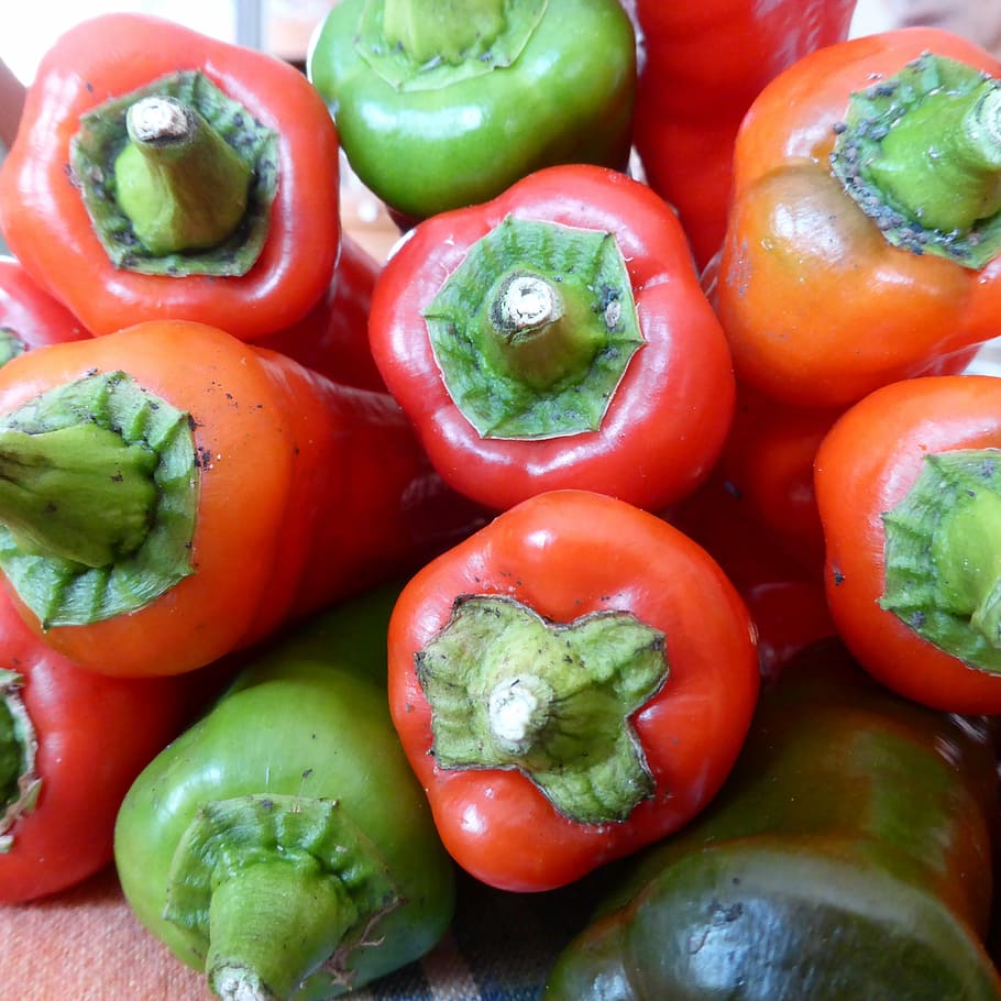 paprika, pepperoni, red, green, vegetables, food, freshness HD wallpaper
