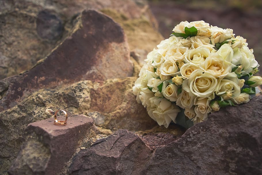 bouquet of white roses near gold-colored ring, rings vector HD wallpaper