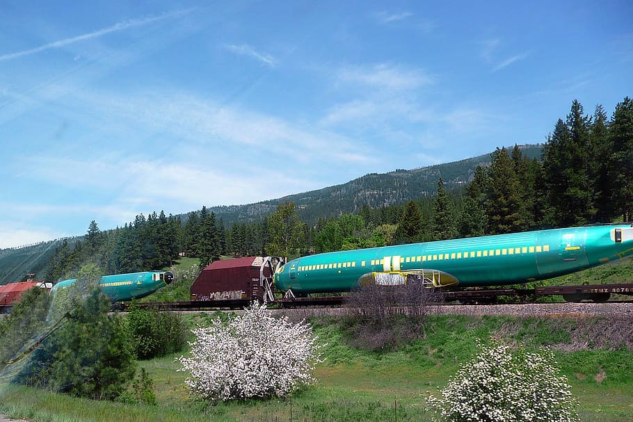 train, transportation, airplane, aircraft, fuselage, tree, sky HD wallpaper