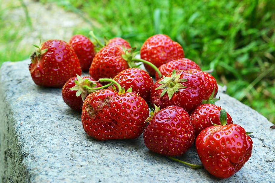 strawberries, fruit, red, ripe, sweet, bio, natural, stone HD wallpaper