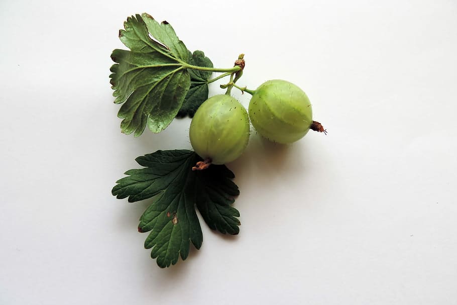 Fruit, Garden, Gooseberry, food and drink, healthy eating, green color HD wallpaper