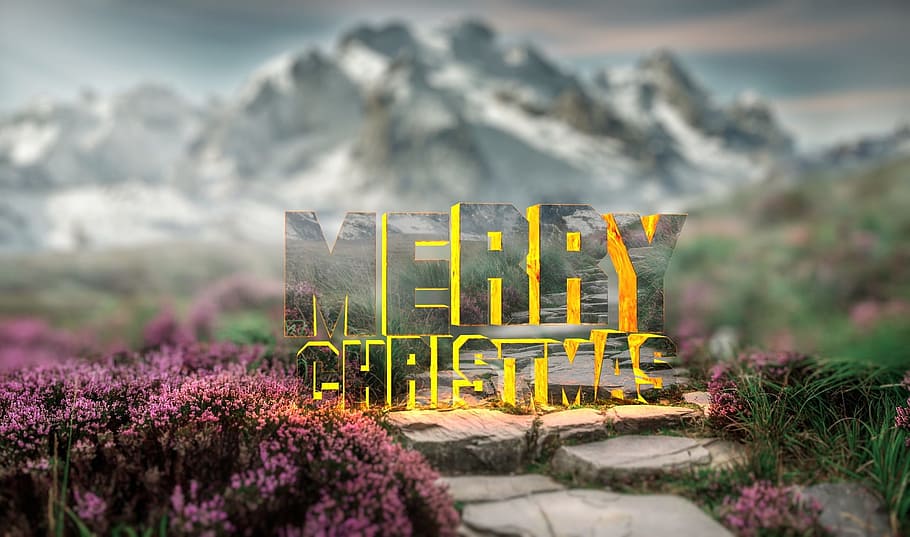 nature, outdoors, landscape, sky, flower, christmas, congratulation HD wallpaper
