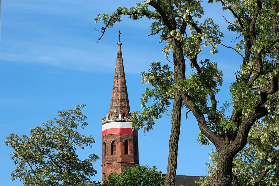 brown cathedral during daytime, tower, church, view, architecture HD wallpaper