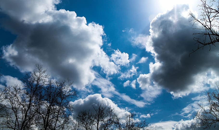 sky, blue, nature, cloud, spring, trees, day s, weather, blue sky HD wallpaper