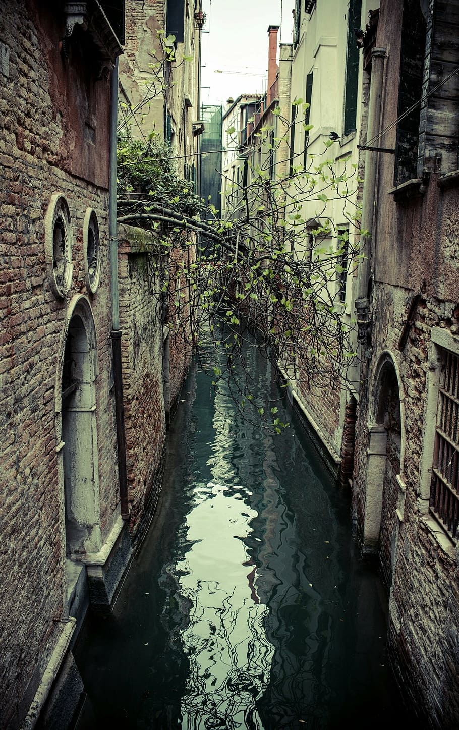 venice, shooting, iphone6s, photographer, channel, summer, boats HD wallpaper