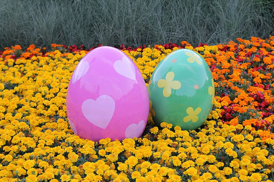 easter egg, eggs, fun, tradition, spring, color, colorful, festival HD wallpaper