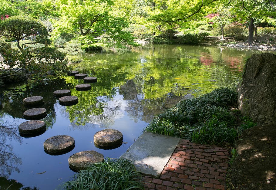 body of water surrounded by trees, fort worth, texas, japan, japanese