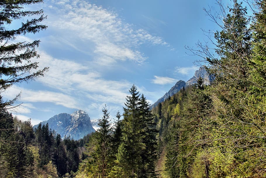 nature, mountains, forest, rock, mood, plant, tree, sky, coniferous tree HD wallpaper