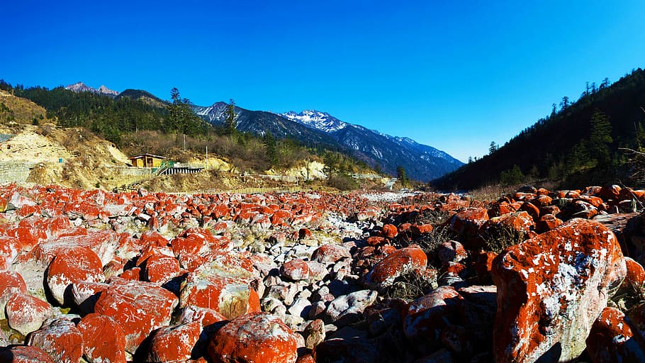 red and gray field of rocks, red rocky beach, redstone park, jolly orange algae, HD wallpaper