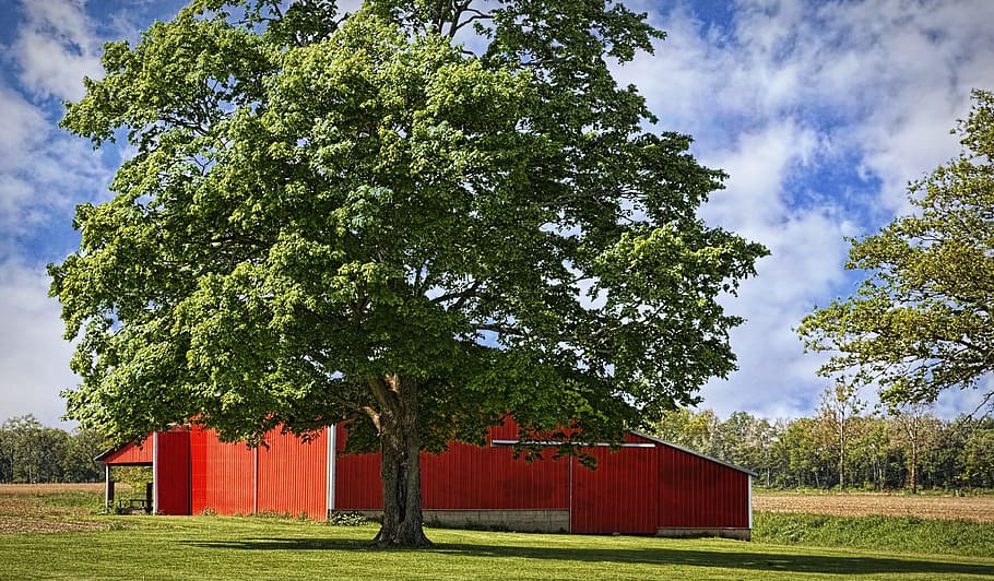 barn, rustic, barns, ohio, digital art, rural, scenic, country HD wallpaper