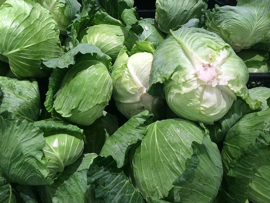 cabbage lot, green, pile up, vegetables, seiyu ltd, living, supermarket, HD wallpaper