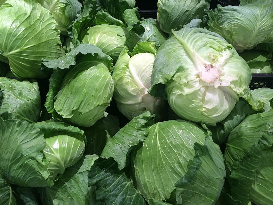 cabbage lot, green, pile up, vegetables, seiyu ltd, living HD wallpaper