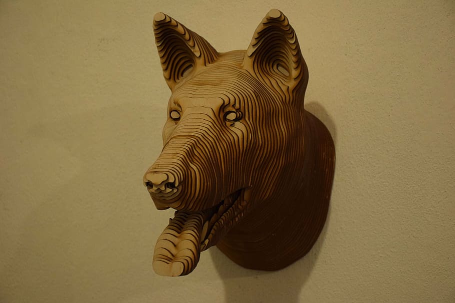 head, dog, tree, animals, wall, living nature, contemporary art HD wallpaper