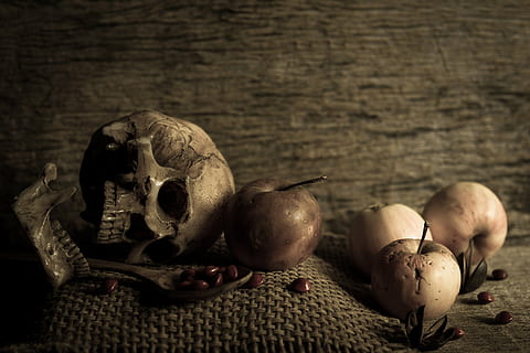 sepia photography of skull beside apples, art, fruit, beans HD wallpaper