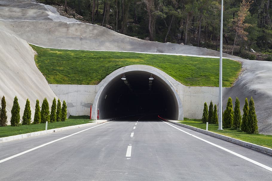 person taking photo of tunnel passage during daytime, Green, Road HD wallpaper