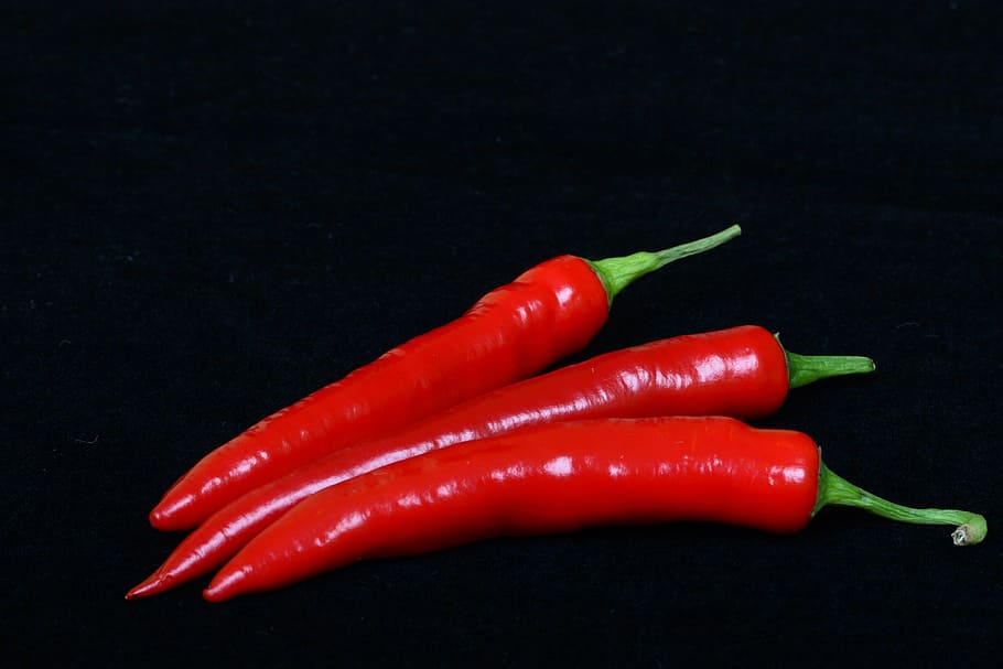 red, hot, pepper, food, vegetable, spice, heat - Temperature HD wallpaper
