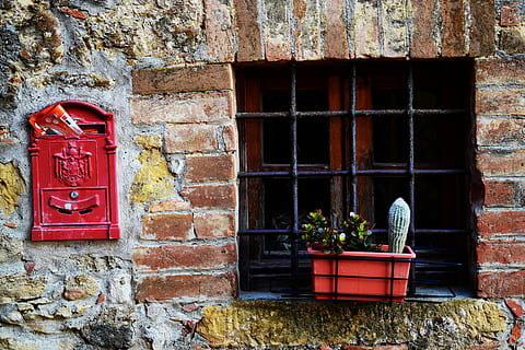 green plants beside window grill, green plant on plastic plant pot HD wallpaper