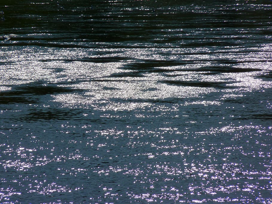 water, reflections, sparkle, back light, waterfront, day, no people HD wallpaper