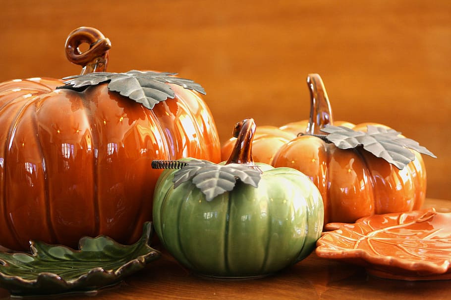 thanksgiving, pumpkin, seasonal, fall, autumn, holiday, harvest, HD wallpaper