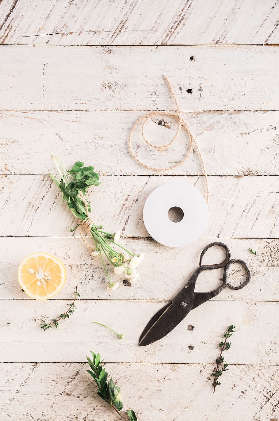 green, leaf, plant, nature, orange, fruit, scissors, flower HD wallpaper