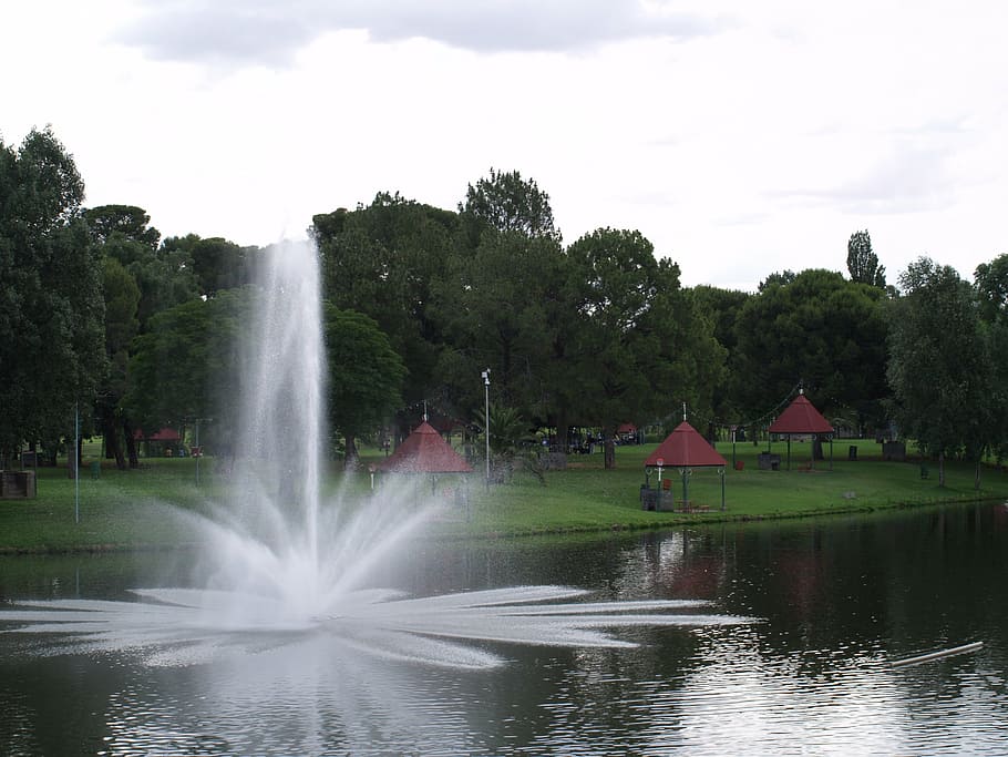 south africa, bloemfontein, fountain, water, nature, tree, plant